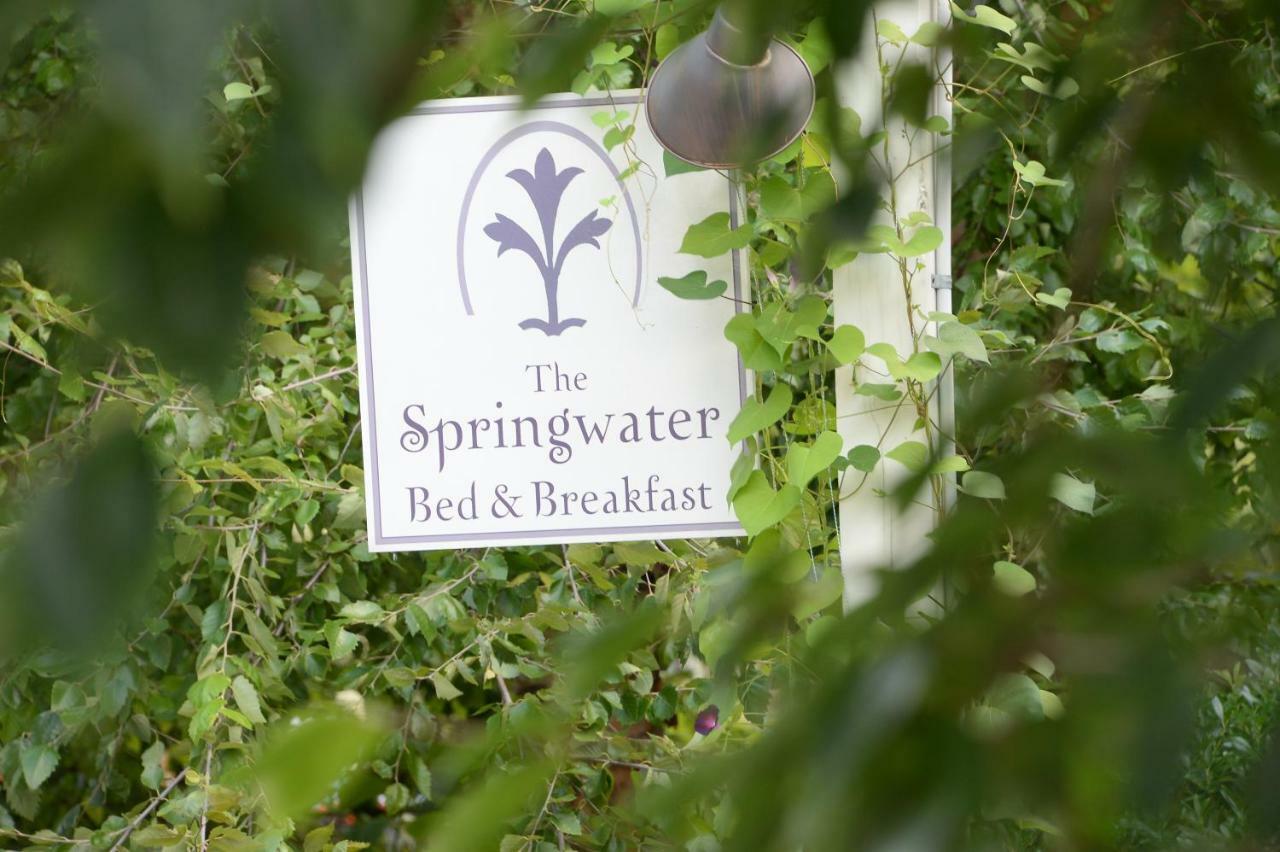 The Springwater Bed And Breakfast Saratoga Springs Buitenkant foto