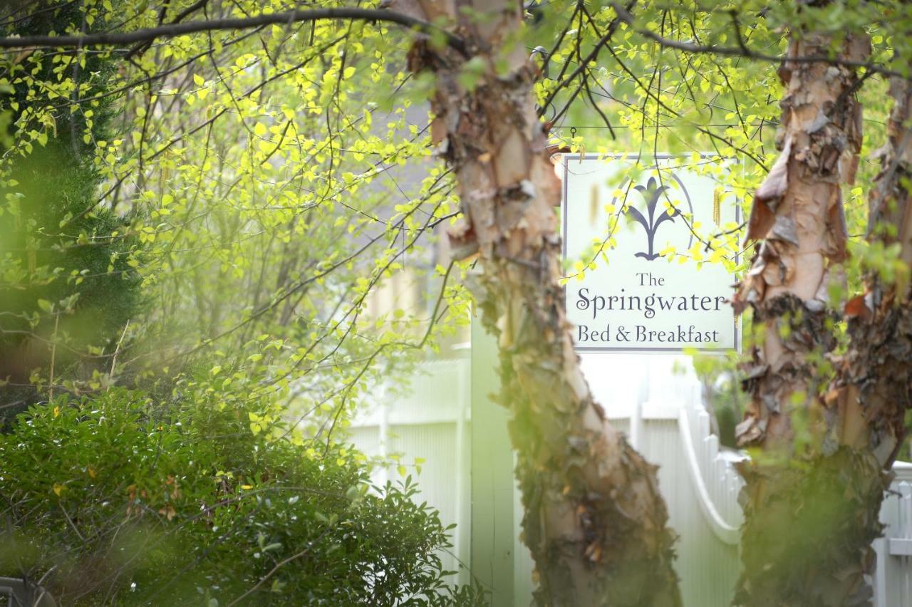 The Springwater Bed And Breakfast Saratoga Springs Buitenkant foto